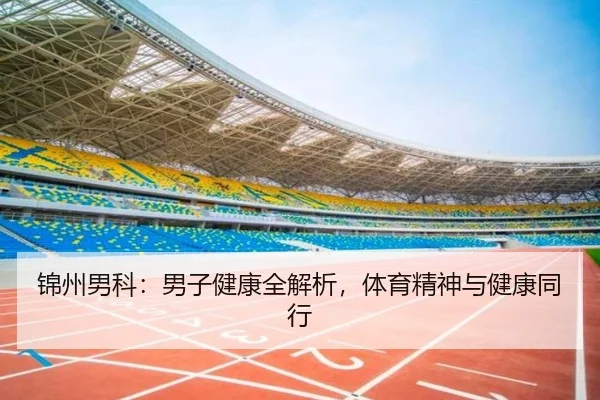 锦州男科:男子健康全解析,体育精神与健康同行